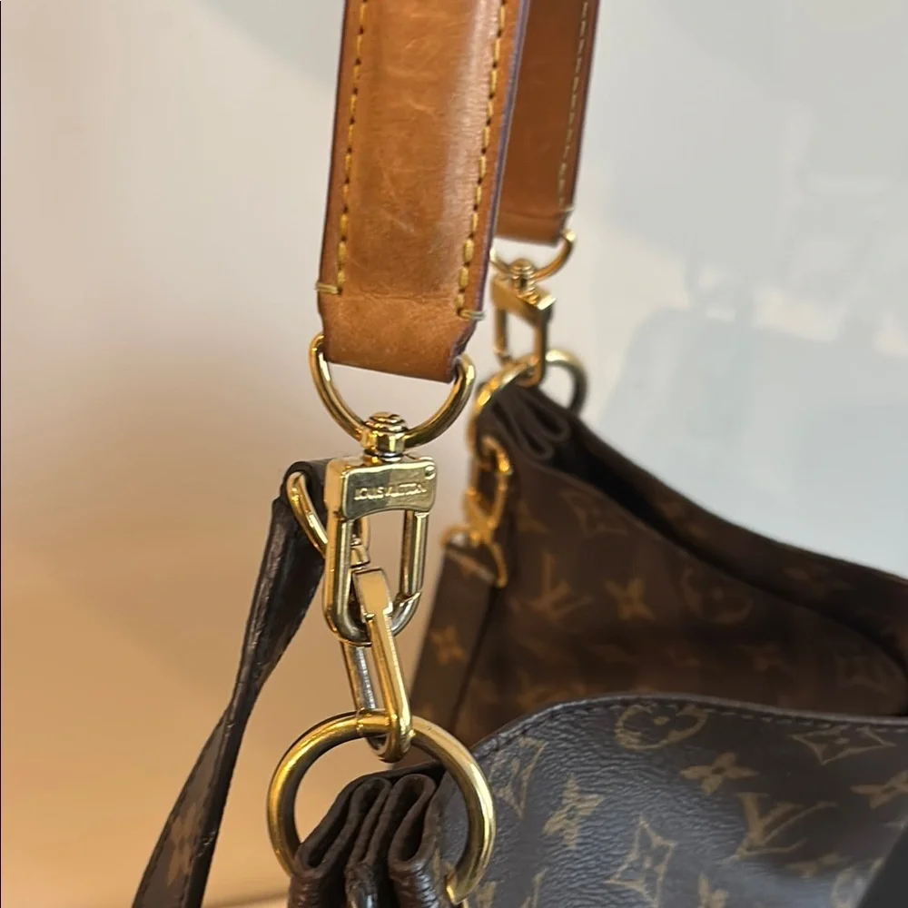 Louis Vuitton this louis